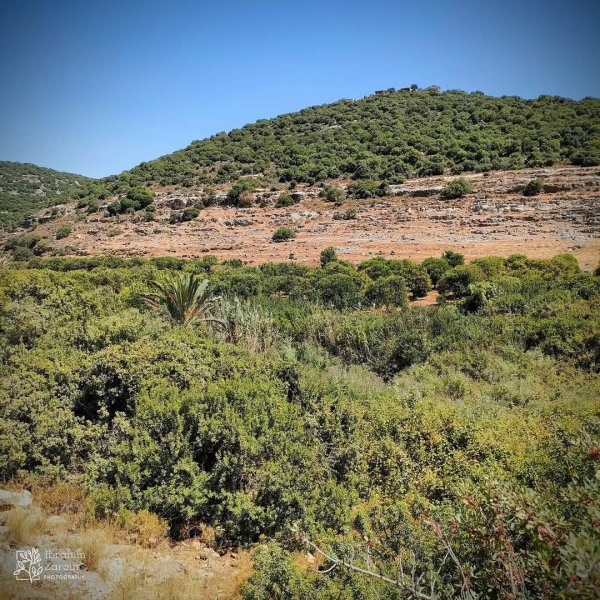 صور من أراضي وادي قانا، بعدسة: Ibrahim Zarour