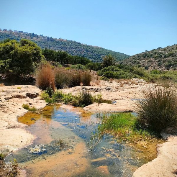 صور من أراضي وادي قانا، بعدسة: Ibrahim Zarour