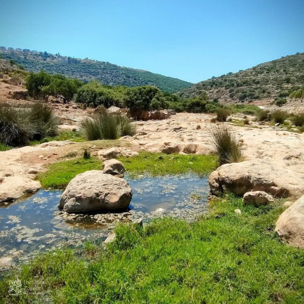 صور من أراضي وادي قانا، بعدسة: Ibrahim Zarour