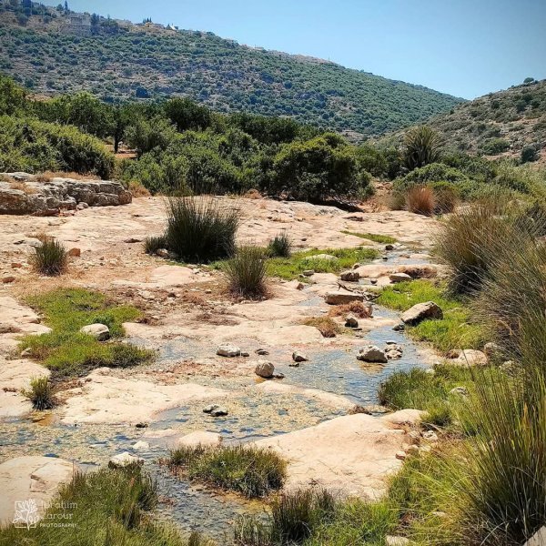 صور من أراضي وادي قانا، بعدسة: Ibrahim Zarour