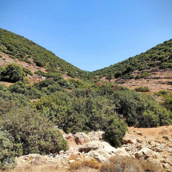 صور من أراضي وادي قانا، بعدسة: Ibrahim Zarour