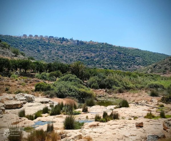 صور من أراضي وادي قانا، بعدسة: Ibrahim Zarour