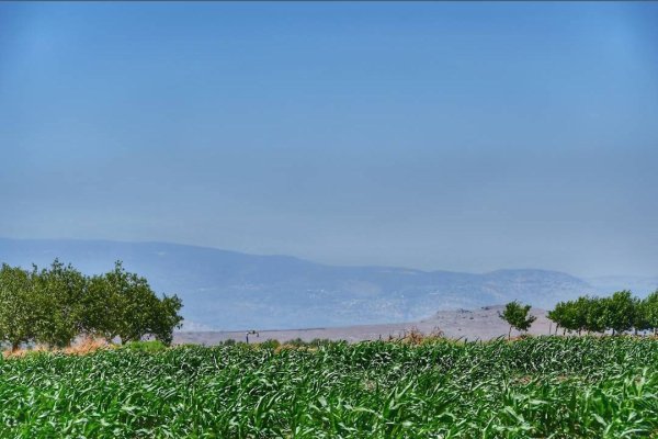| موسوعة القرى الفلسطينية  | موسوعة القرى الفلسطينية