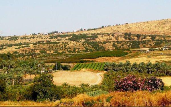| موسوعة القرى الفلسطينية  | موسوعة القرى الفلسطينية