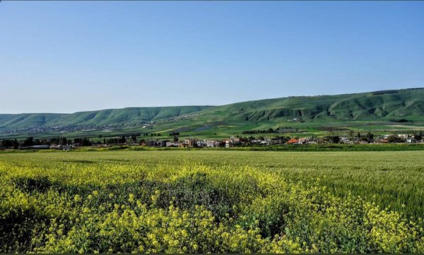 | موسوعة القرى الفلسطينية  | موسوعة القرى الفلسطينية