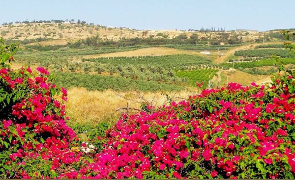 | موسوعة القرى الفلسطينية  | موسوعة القرى الفلسطينية