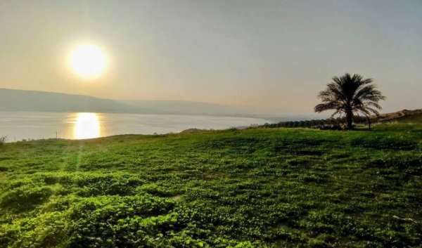 | موسوعة القرى الفلسطينية  | موسوعة القرى الفلسطينية