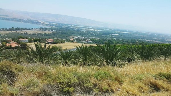 | موسوعة القرى الفلسطينية  | موسوعة القرى الفلسطينية