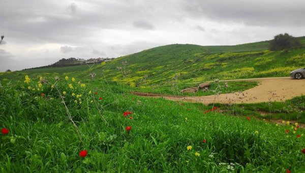 | موسوعة القرى الفلسطينية  | موسوعة القرى الفلسطينية