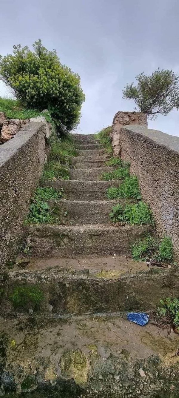  | موسوعة القرى الفلسطينية