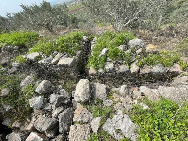  | موسوعة القرى الفلسطينية