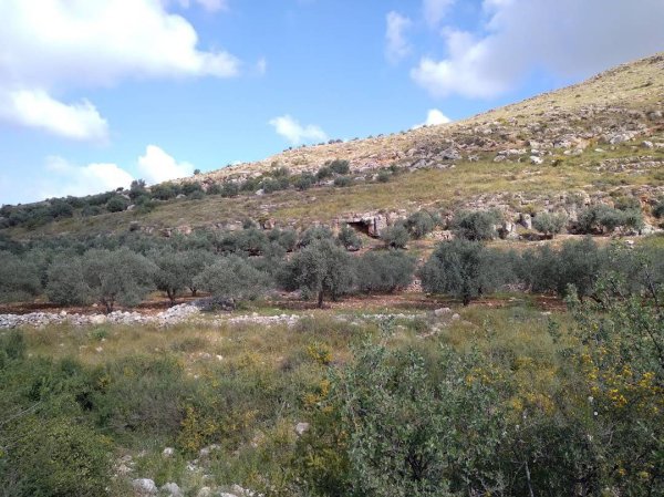  | موسوعة القرى الفلسطينية