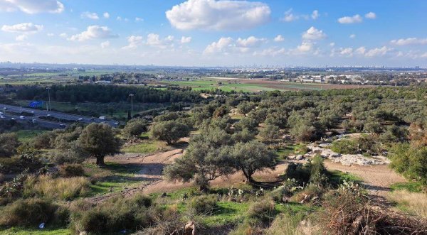 | موسوعة القرى الفلسطينية  | موسوعة القرى الفلسطينية