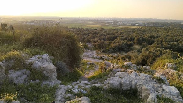 | موسوعة القرى الفلسطينية  | موسوعة القرى الفلسطينية