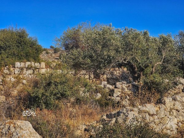 | موسوعة القرى الفلسطينية  | موسوعة القرى الفلسطينية