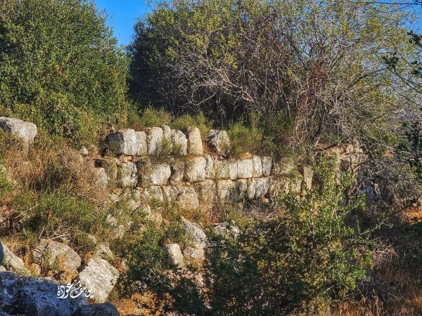 | موسوعة القرى الفلسطينية  | موسوعة القرى الفلسطينية