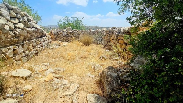 | موسوعة القرى الفلسطينية  | موسوعة القرى الفلسطينية