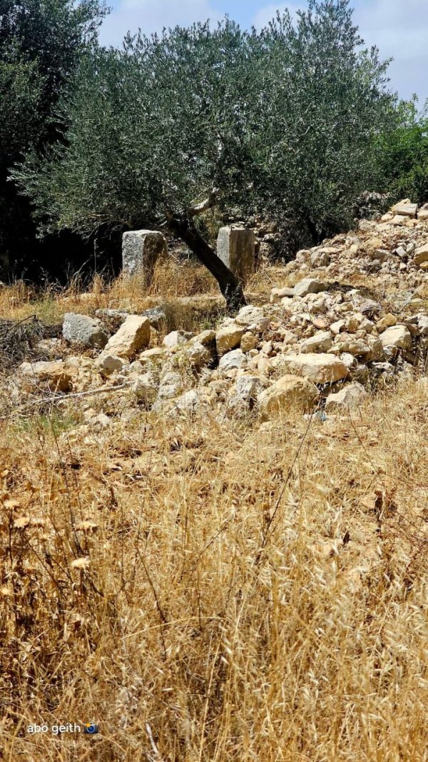 | موسوعة القرى الفلسطينية  | موسوعة القرى الفلسطينية