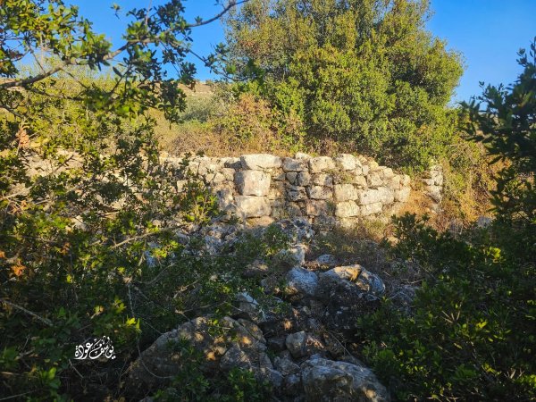 | موسوعة القرى الفلسطينية  | موسوعة القرى الفلسطينية