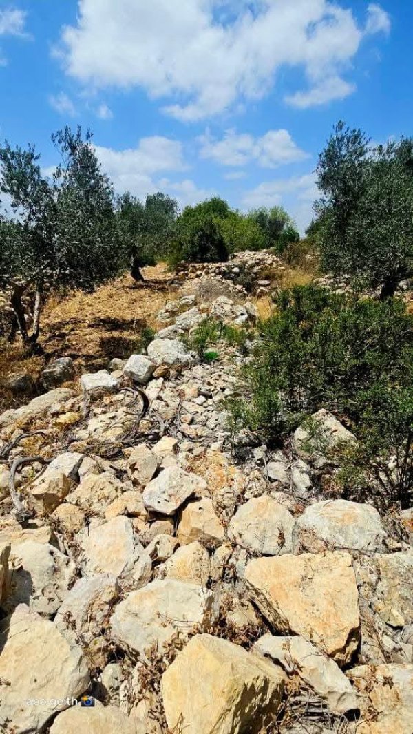 | موسوعة القرى الفلسطينية  | موسوعة القرى الفلسطينية