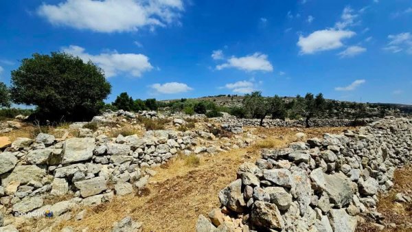 | موسوعة القرى الفلسطينية  | موسوعة القرى الفلسطينية