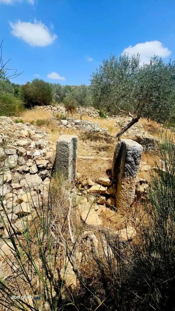 | موسوعة القرى الفلسطينية  | موسوعة القرى الفلسطينية