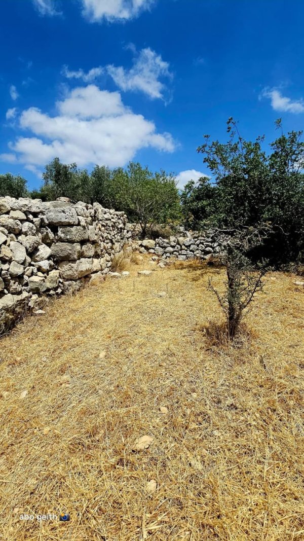 | موسوعة القرى الفلسطينية  | موسوعة القرى الفلسطينية