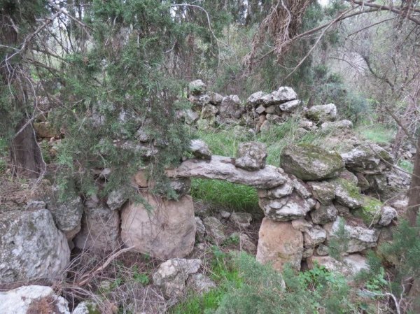 | موسوعة القرى الفلسطينية  | موسوعة القرى الفلسطينية