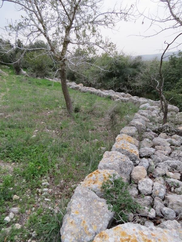 | موسوعة القرى الفلسطينية  | موسوعة القرى الفلسطينية