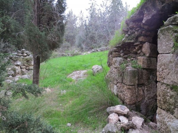 | موسوعة القرى الفلسطينية  | موسوعة القرى الفلسطينية