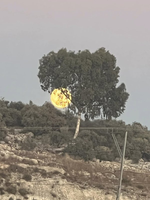  | موسوعة القرى الفلسطينية