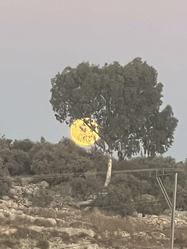  | موسوعة القرى الفلسطينية