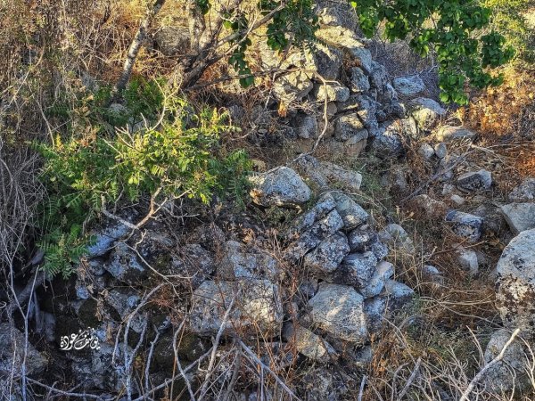  | موسوعة القرى الفلسطينية