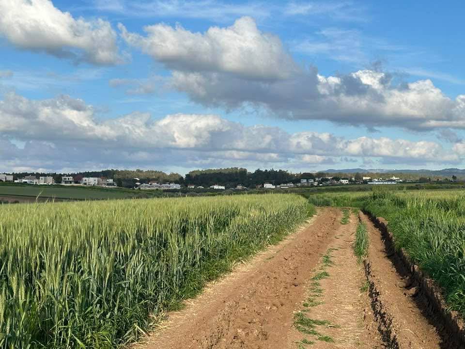  | موسوعة القرى الفلسطينية