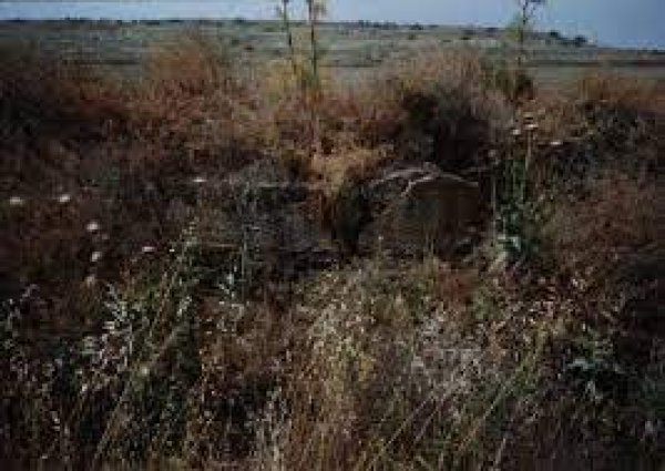  | موسوعة القرى الفلسطينية