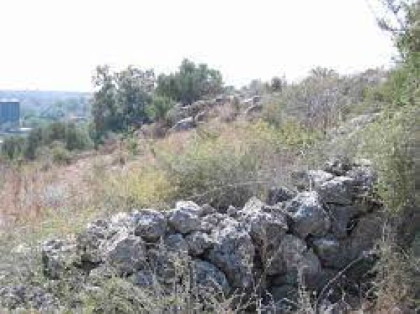  | موسوعة القرى الفلسطينية