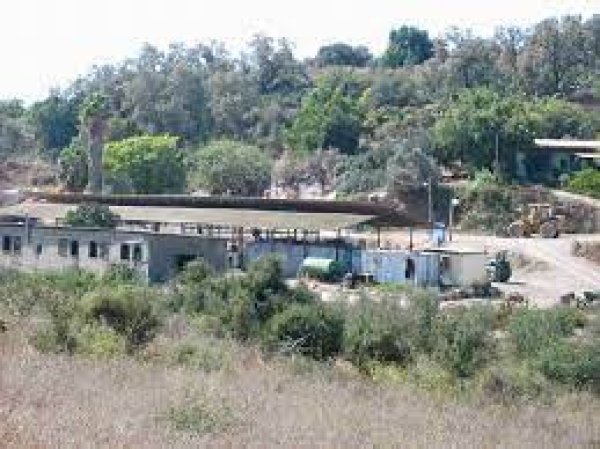  | موسوعة القرى الفلسطينية