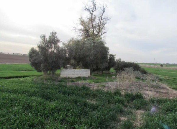  | موسوعة القرى الفلسطينية