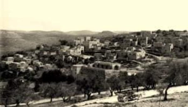 قرية جليا / الرملة