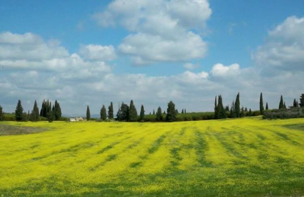  | موسوعة القرى الفلسطينية