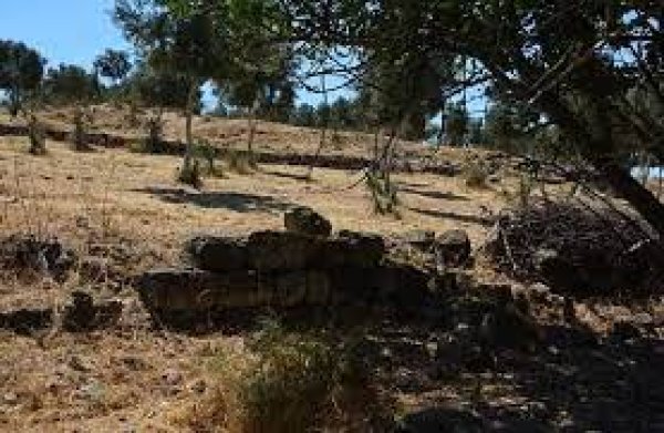  | موسوعة القرى الفلسطينية