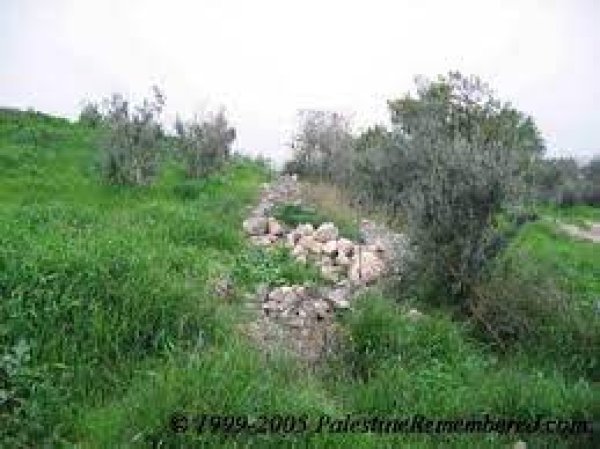  | موسوعة القرى الفلسطينية