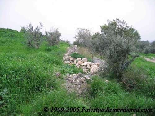 إذْنِبِّه / إدنبه