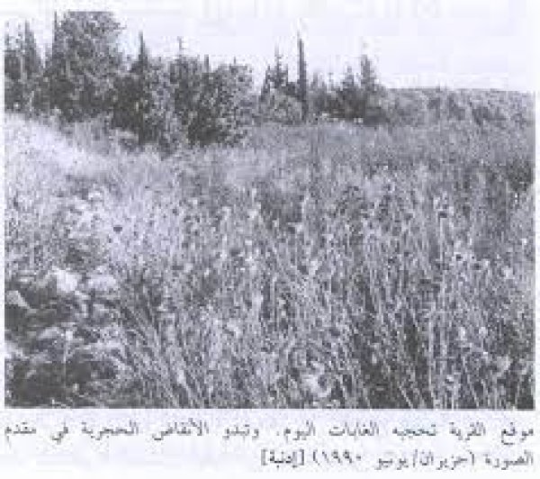 قرية إذنبه قرية إذنبه