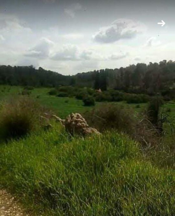  | موسوعة القرى الفلسطينية