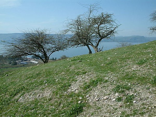  | موسوعة القرى الفلسطينية