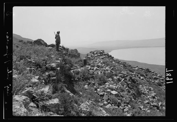صورة لقلعة الحصن تعودلعام 1939 صورة لقلعة الحصن تعودلعام 1939