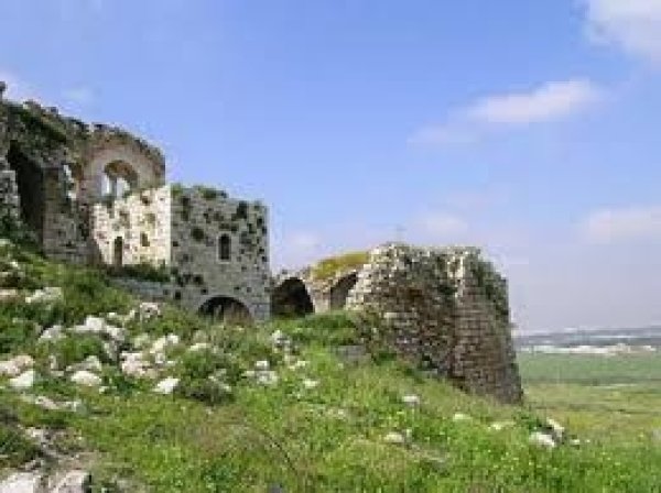  | موسوعة القرى الفلسطينية