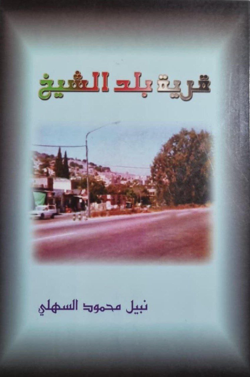 قرية بلد الشيخ