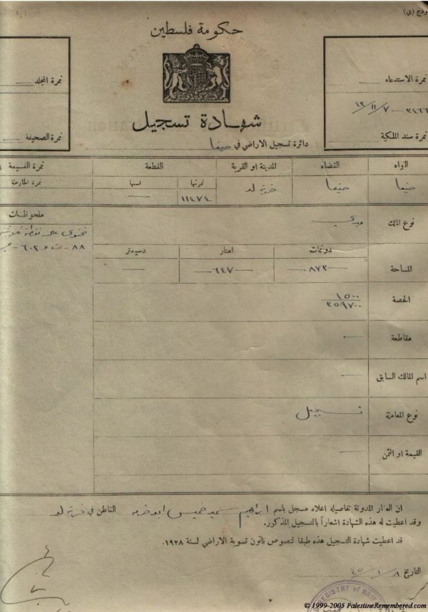 كوشان رقم 19